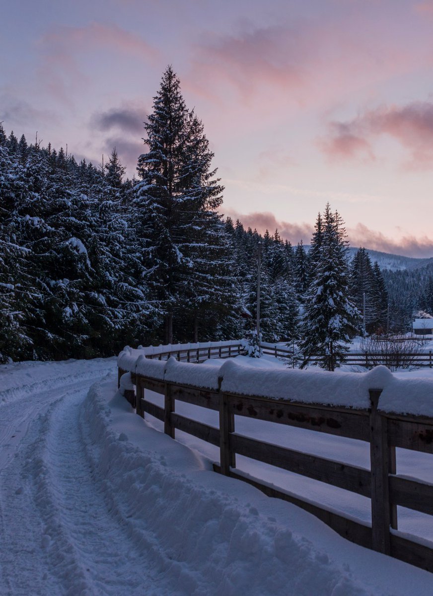 Enjoy the view https://t.co/21nqlZFdbx

@vip88d