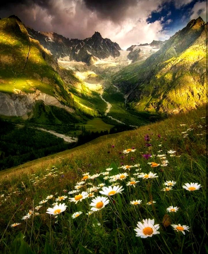 Swiss Alps 🌲🌲 https://t.co/rDQPtqez7R

@DolceRagazza26