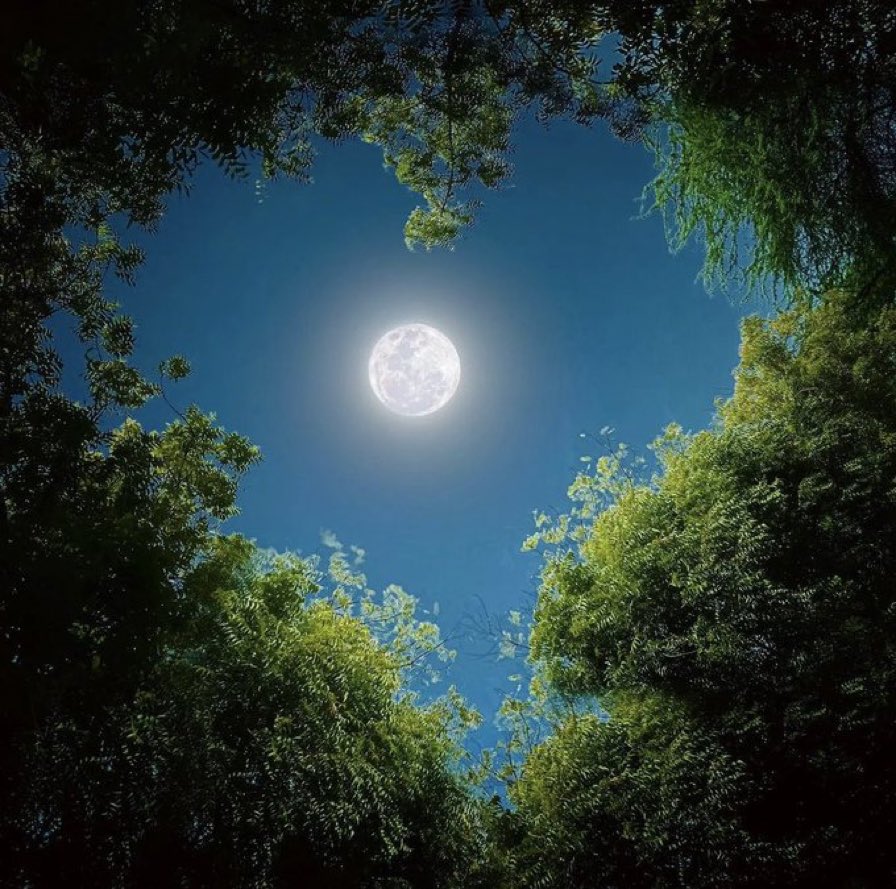 Share Moon photo from your gallery. https://t.co/iRHftMIINe

@themoonlovepic