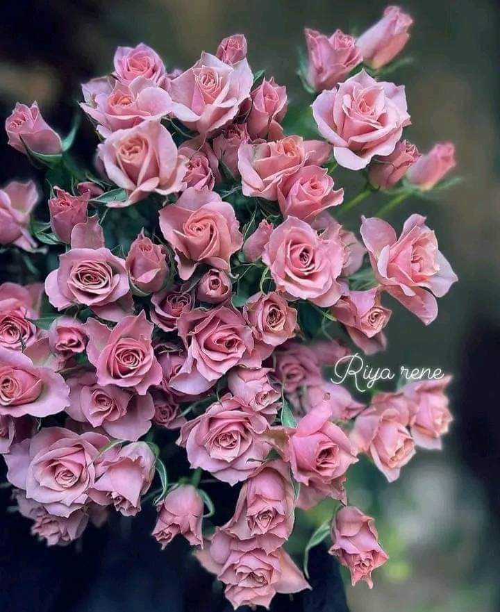 Sunday. https://t.co/Sa8JsGDjY8

@OMarlene094527