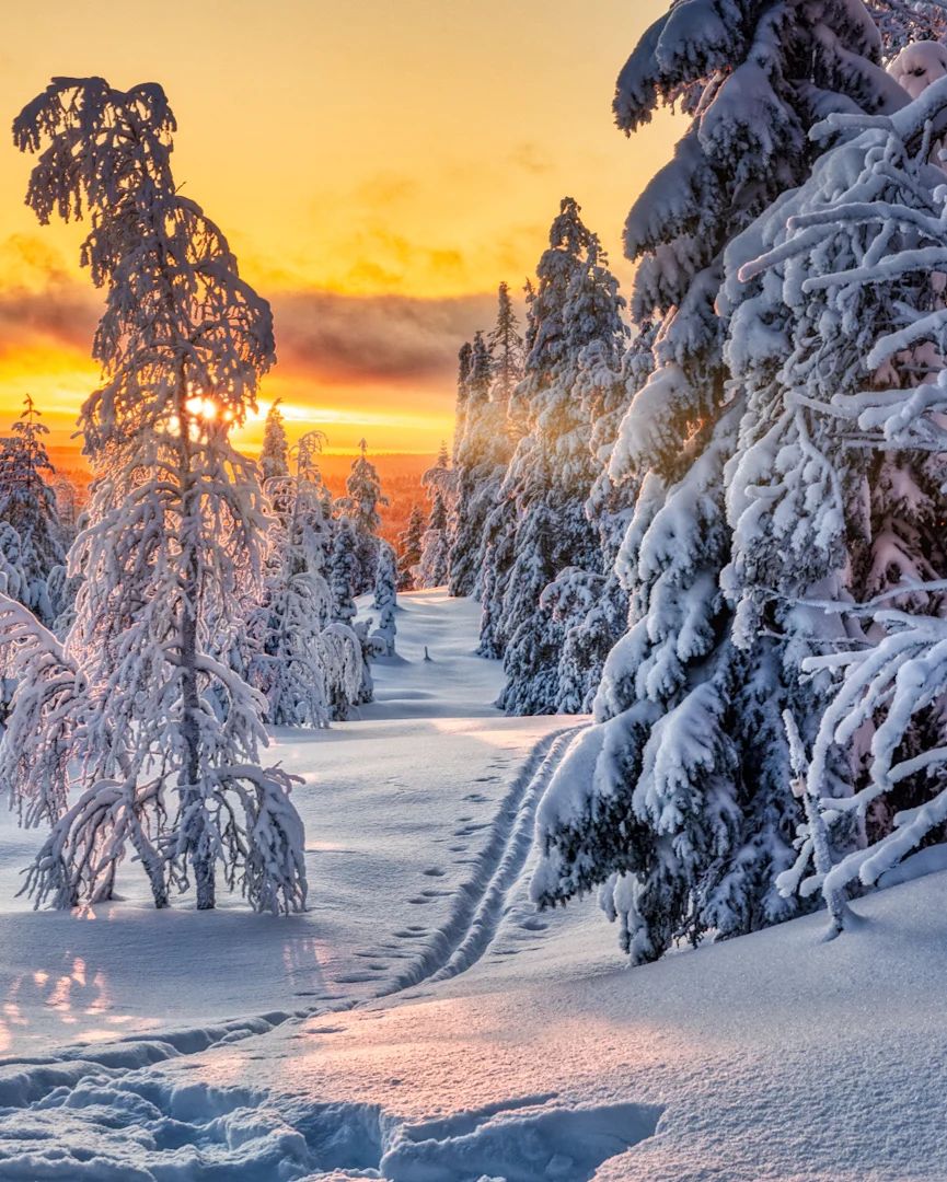 Good Evening 💛💛 https://t.co/UYrJBAQ8ex

@jacolek1981