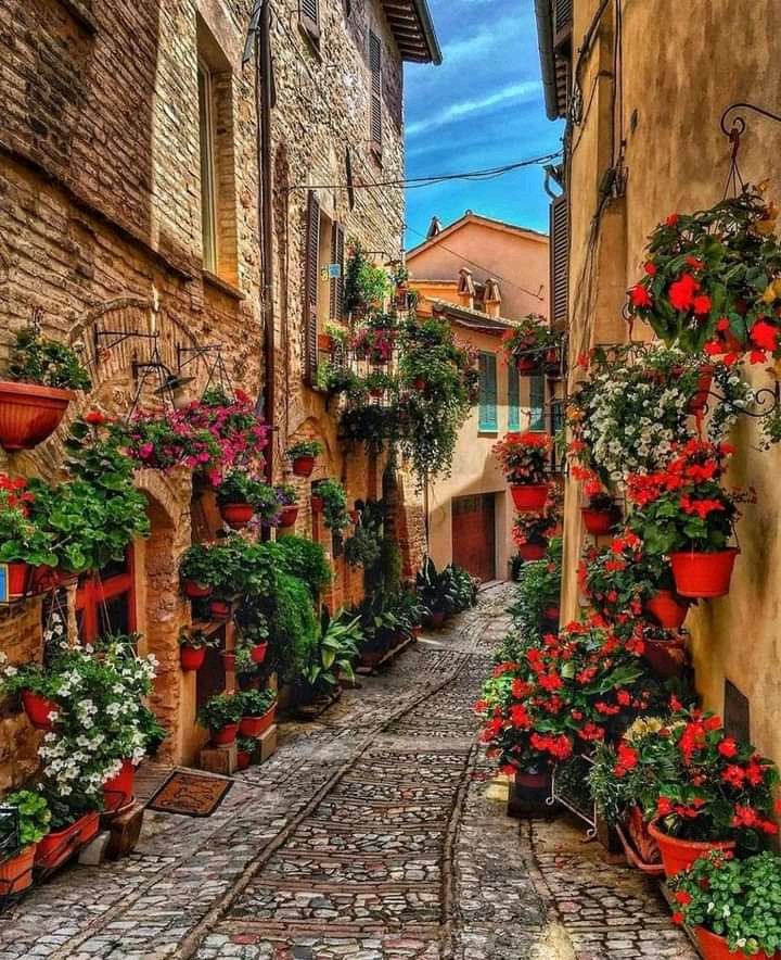 Stroll down the memory lane💐❤️💐 https://t.co/zWOfBf0oDG

@AnsarArooma