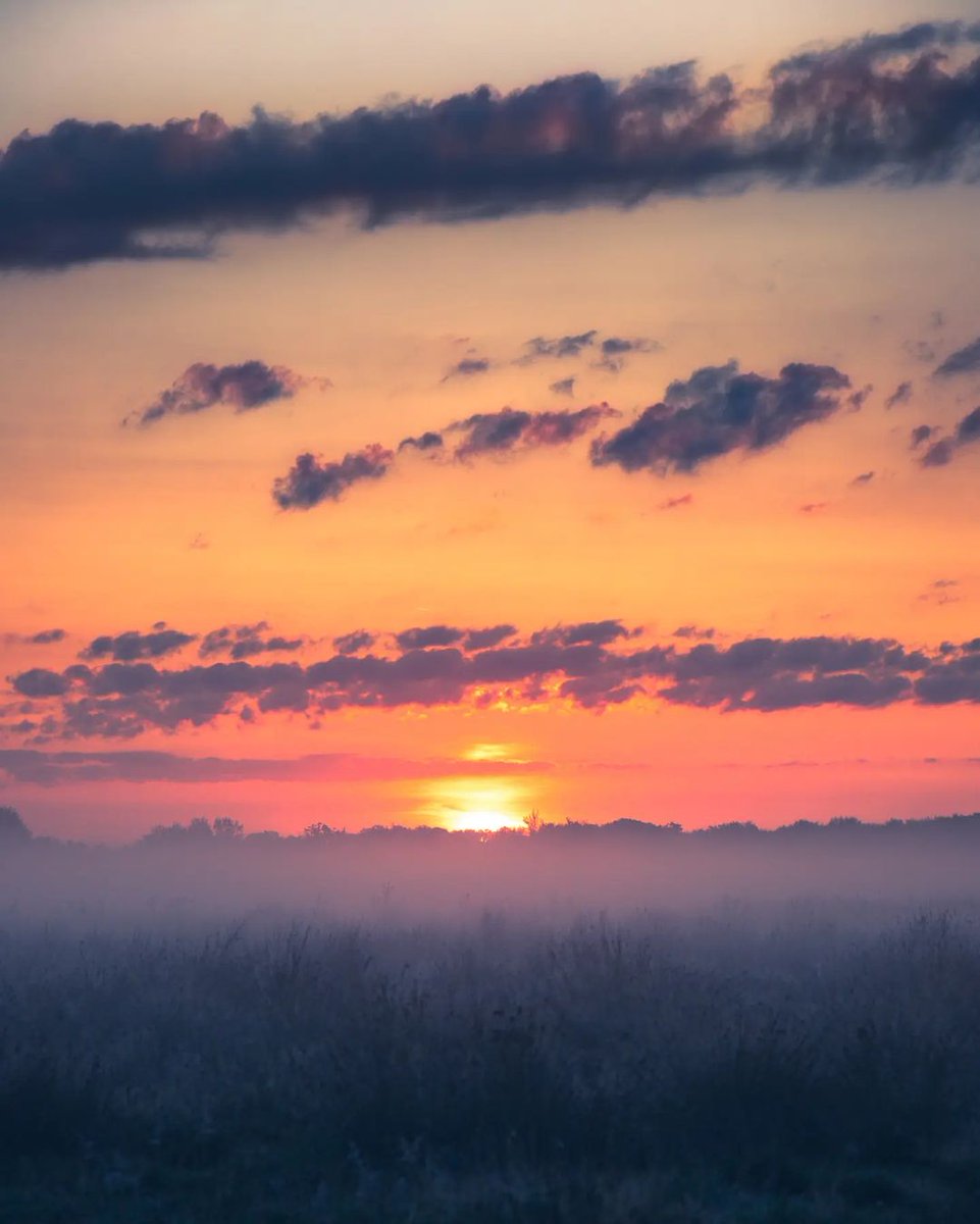 @TLeoni311 Have beautiful Evening dear Teresa 🤗🌷💫 https://t.co/zeQnAjfj5j

@jacolek1981