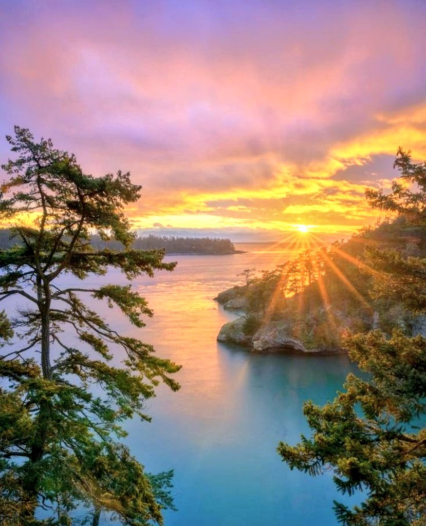 Good morning ☀️ https://t.co/pChdktXj9D

@Daniella_C1804