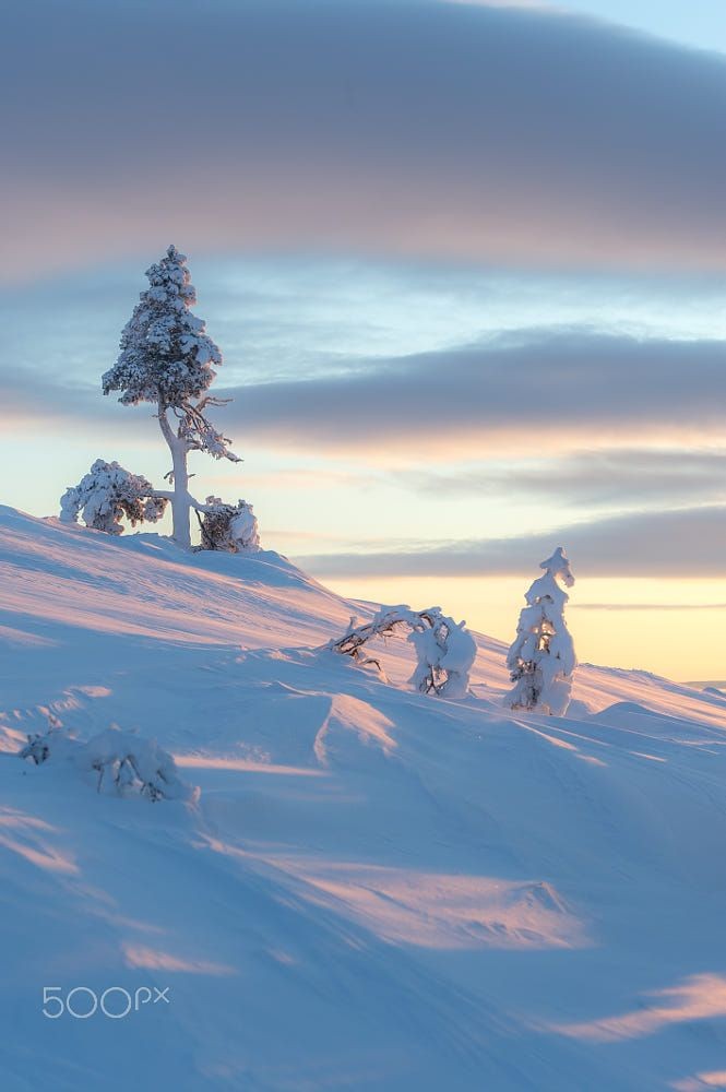 Morning https://t.co/00NjPb2Tga

@Yasir54249138