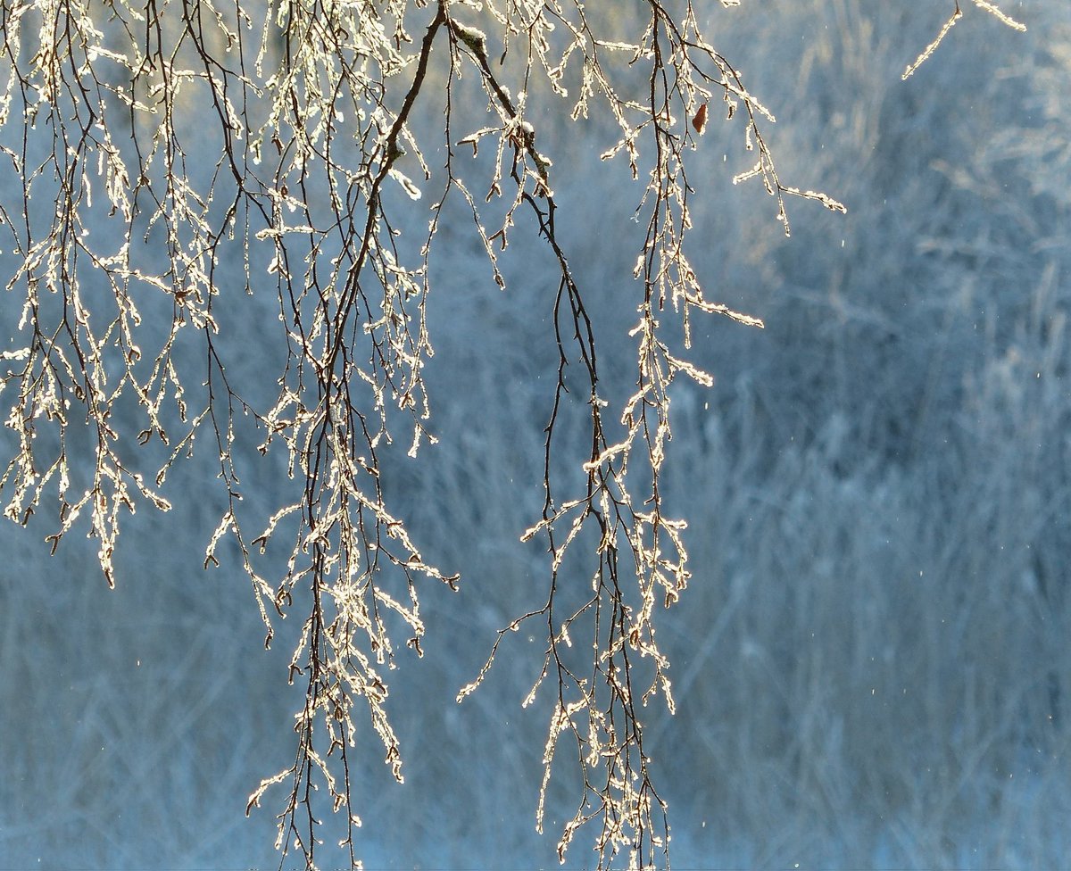 I wish you a great Wednesday ❄💙 https://t.co/tWCVKV30af

@MartenBjorkgren