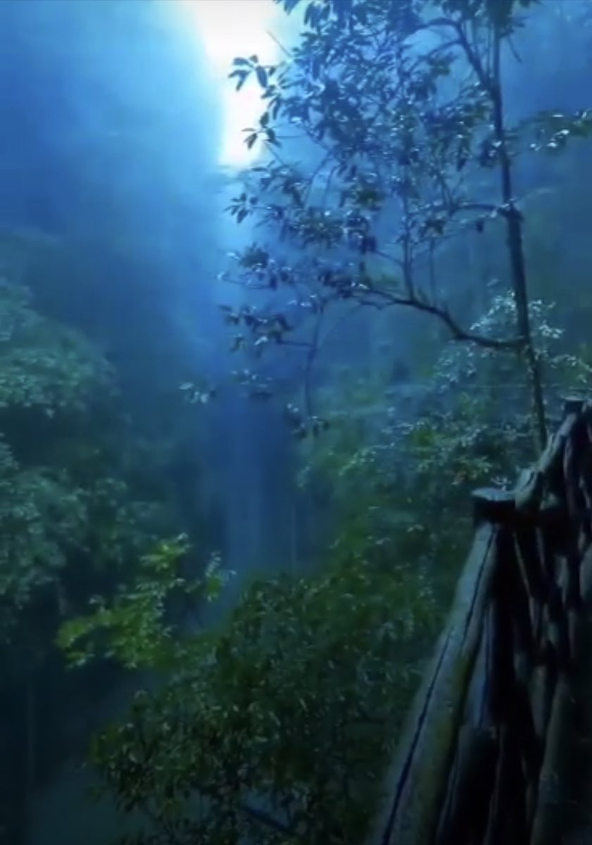 Calmness&hellip;..💞💞💞 https://t.co/15YjHZO21K

@InsatiableVVIP