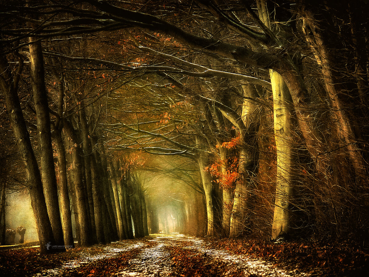 Happy new week dear friends
📷© Lars van de Goor Photography Art https://t.co/tfROEAnNd4

@giannis2221963