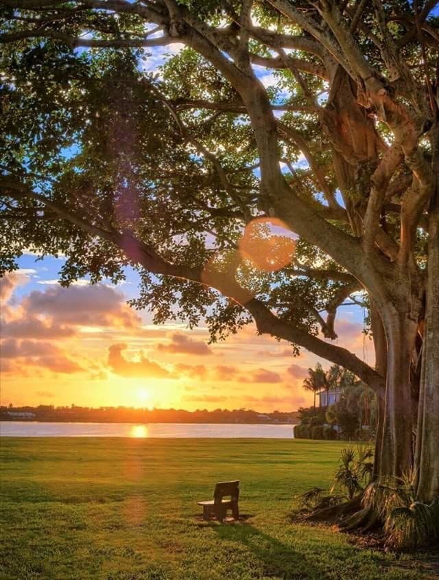 Everything in Nature contains all the powers of Nature. Everything is made of one hidden stuff.

#RalphWaldoEmerson 
#GoodMorningTwitterWorld https://t.co/qVJyCXqy4t

@TLo02