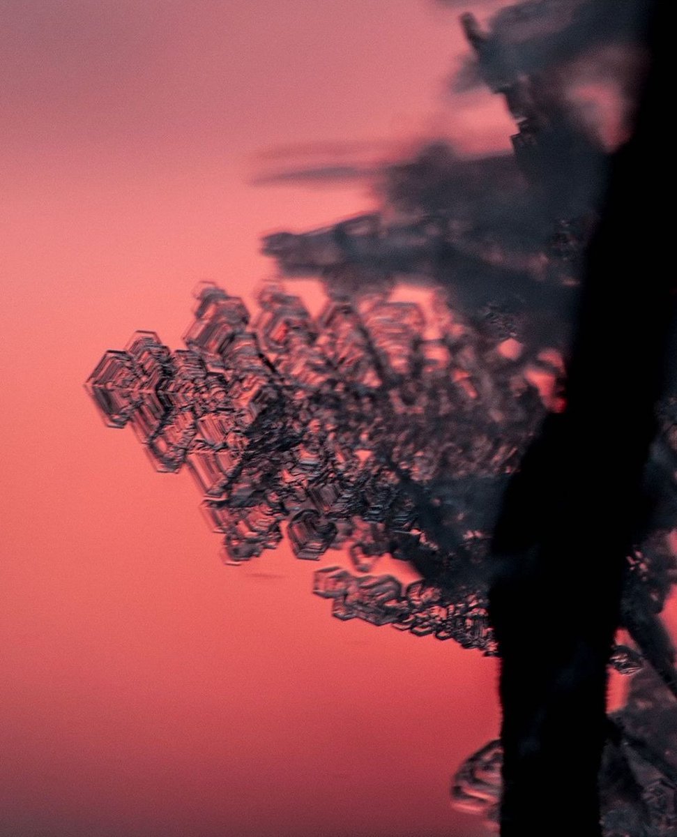 Pink skies and crisp, cold air https://t.co/pMg5G9M93H

@clauok10