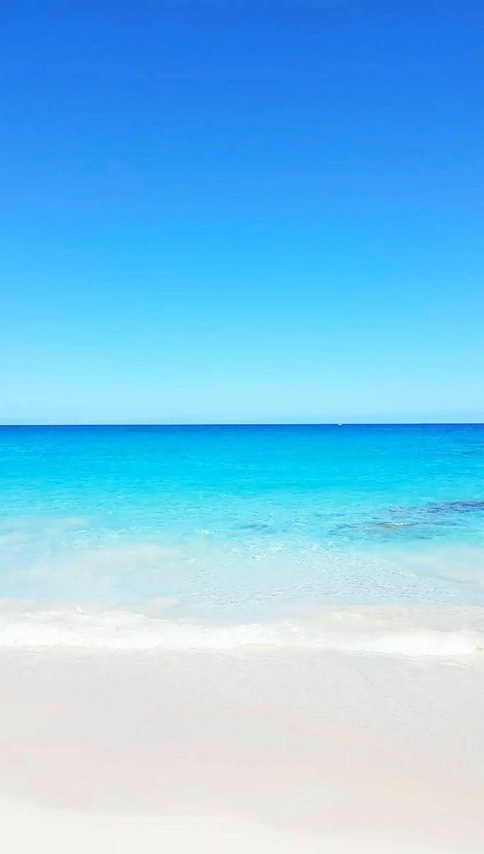 Blue https://t.co/EZeYBsI09t

@helena_mar19