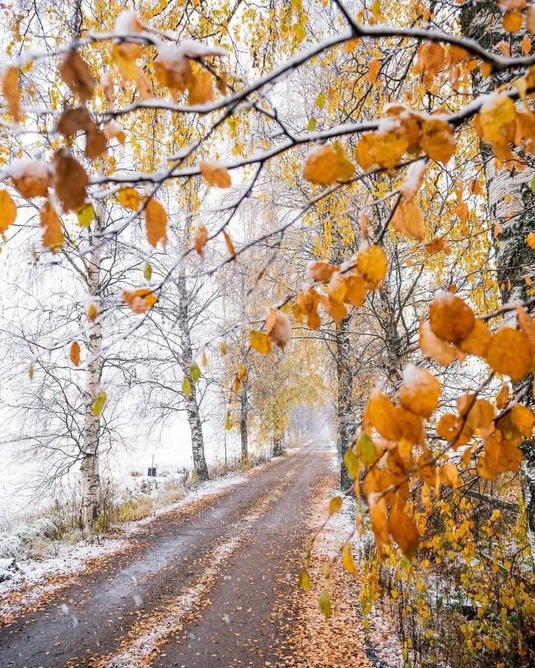 Beautiful https://t.co/4H9VyXmg3c

@helena_mar19