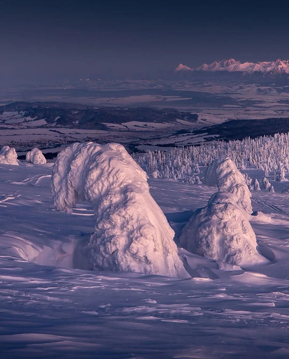 Good Evening 💜❄ https://t.co/dQhNQnibID

@jacolek1981