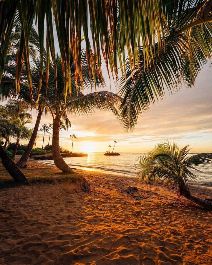 💫✨🌟 https://t.co/Kf20kQe35m

@Shuhua19760515