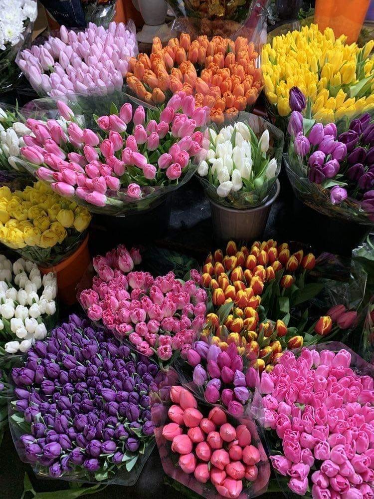 fresh tulips https://t.co/MwYkoIrWQ0

@artindetails