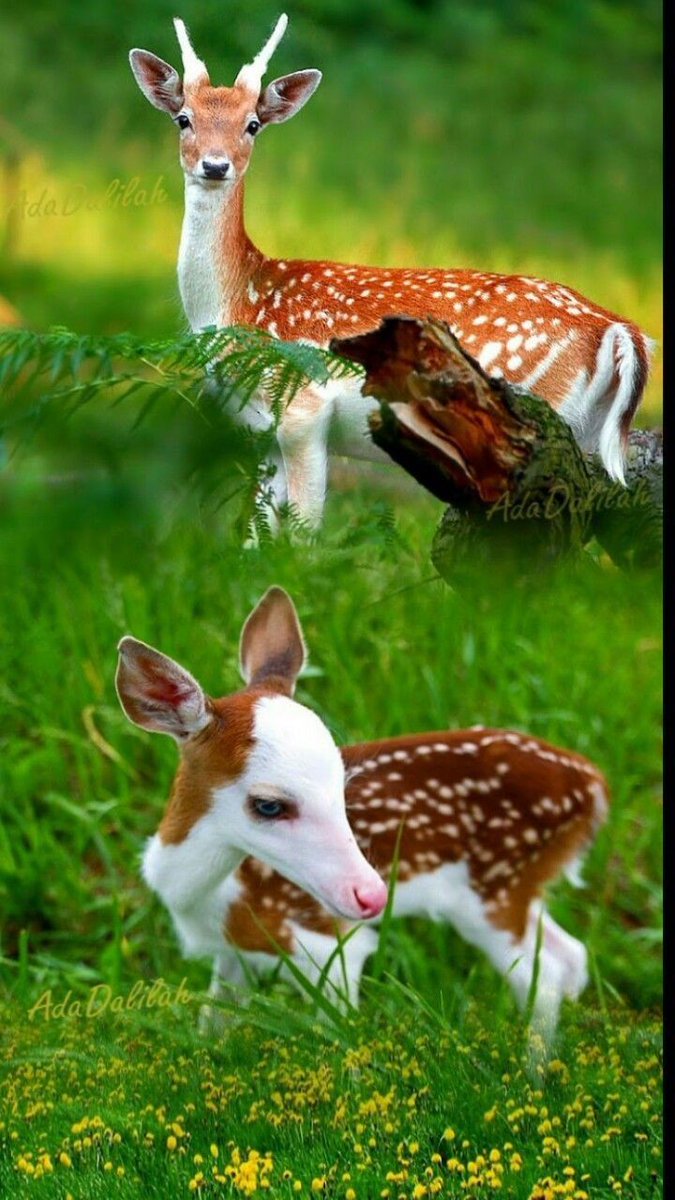 💚🌿💚🌿💚🌿💚🌿💚🌿💚🌿💚 https://t.co/eE51877sJ6

@Barbarelle24