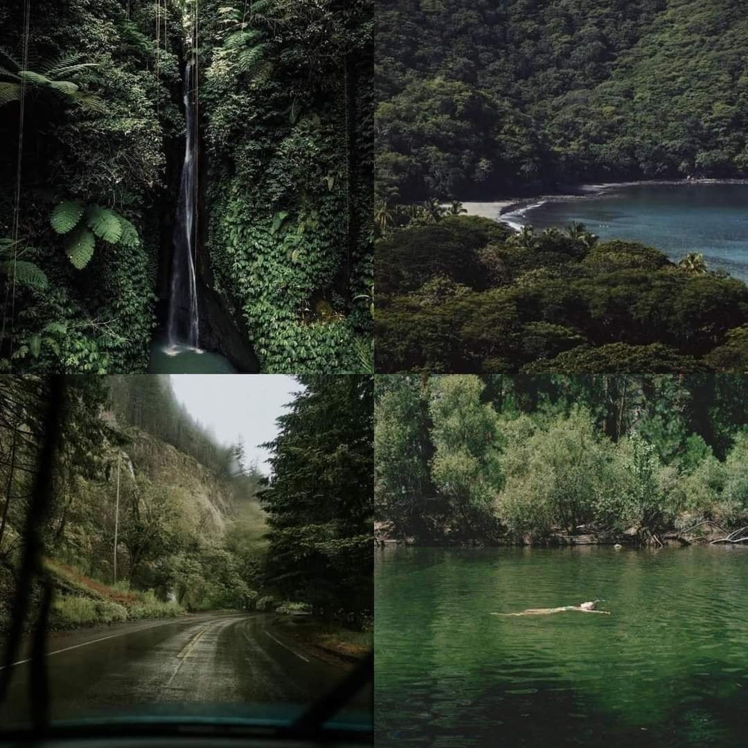 lost in nature https://t.co/dwFqKGqf93

@artindetails