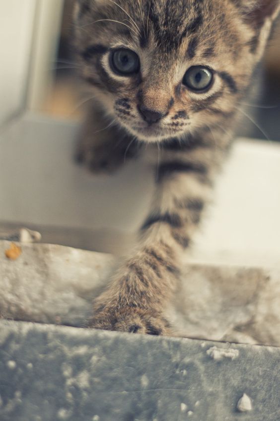 ♡♡♡👀♡♡♡ https://t.co/XGGO7a7pGc

@barbypada