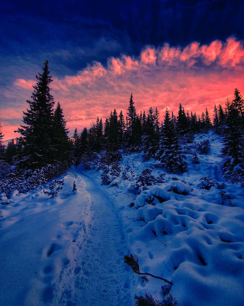 Good Evening ❄ https://t.co/GyA8ty0Mfs

@jacolek1981