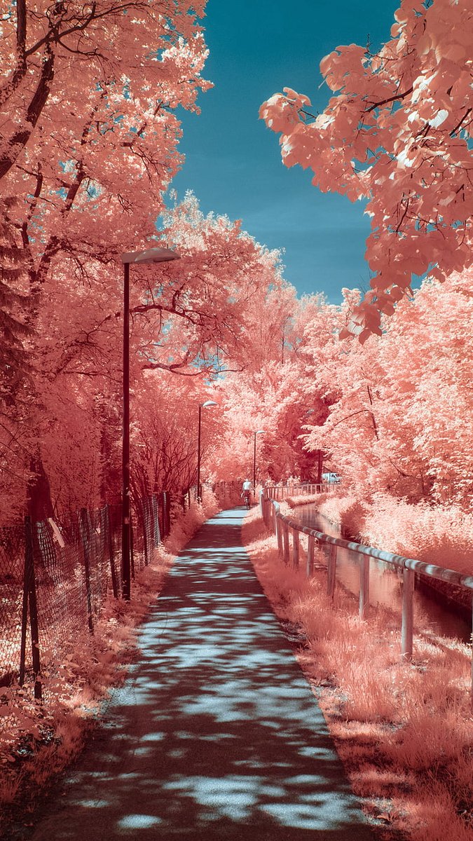 One is loved because one is loved.
No reason is needed for loving.🤍🌸🤍🌸
      Paulo Coelho~ https://t.co/lgrf1HbXhW

@dragonfly_37