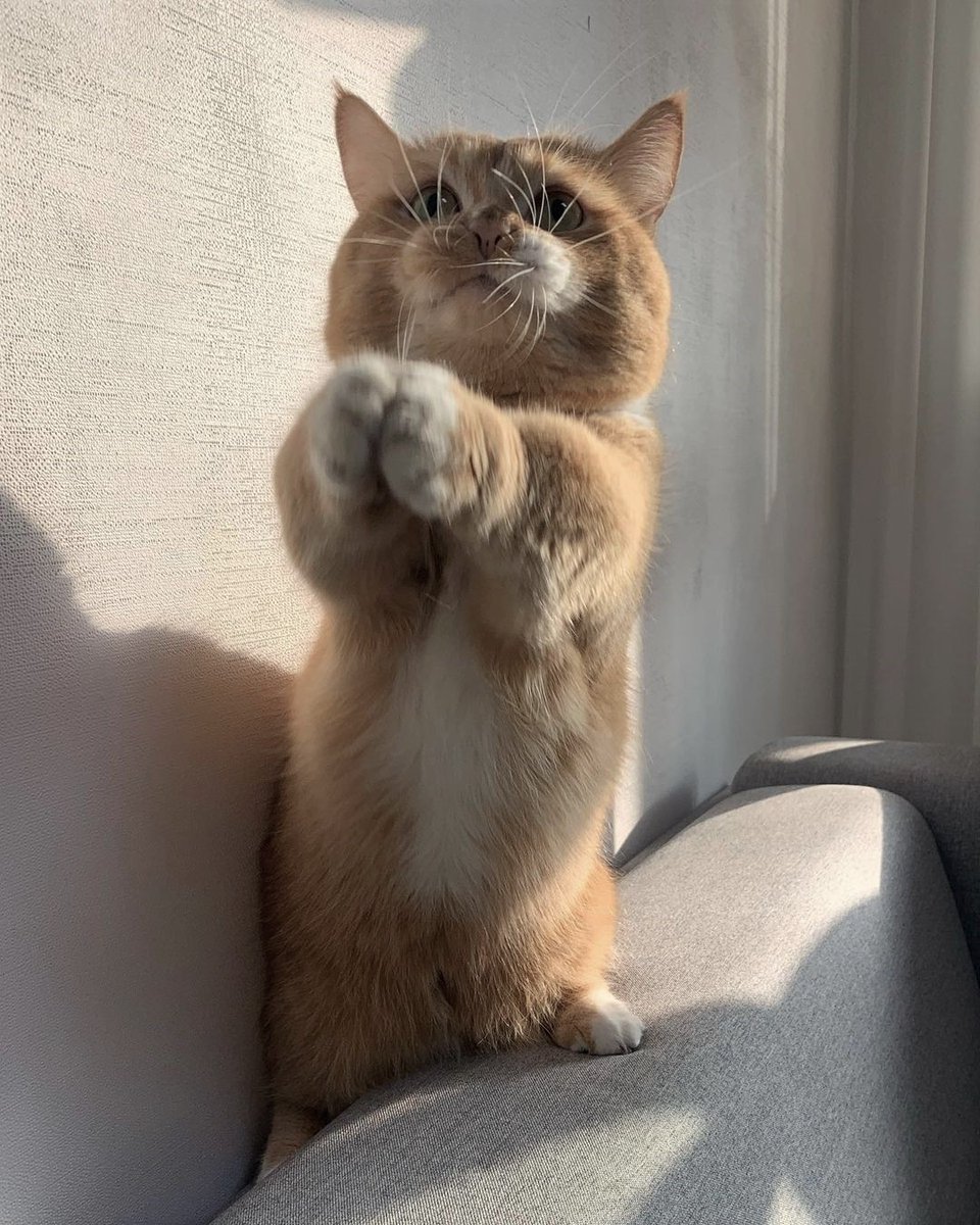 Χαρούμενο και όμορφο Βράδυ🌕
...Καλή αυριανή σε όλους.....‼️
&lt; 🌞'¨)
.¸.•*' ¨
(. ¸.•' (¸.•'🧡
Good night Twitter friends🌕
... See you tomorrow.....‼️ https://t.co/wjMLaCPKlI

@barbypada