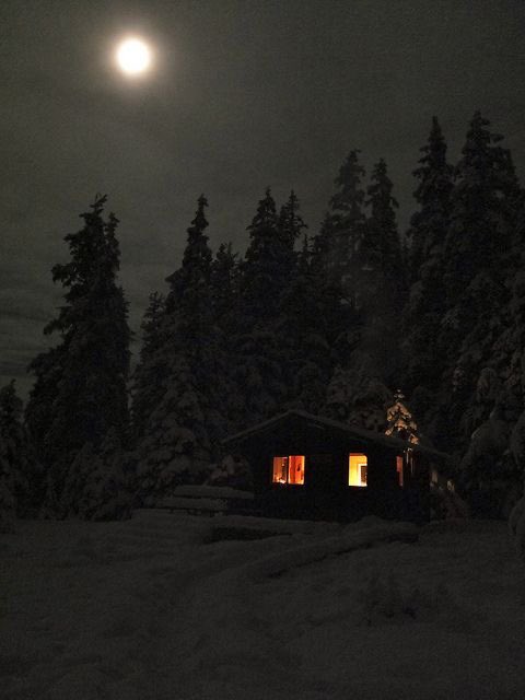 cabin. https://t.co/XyFihH1BFv

@violettweets_