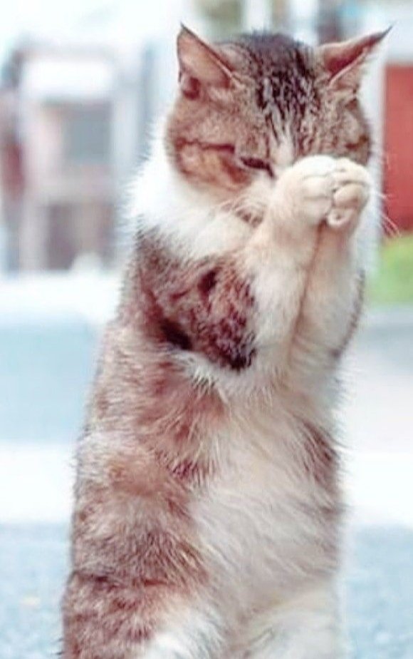 #TurkeySyriaEarthquake 🙏 🇹🇷🇸🇾

This is so sickening, each increase in death figures is so soul destroying. Love and prayers ❤️🙏
it puts senseless wars in perspective. https://t.co/fvjBq0ZsTr

@Metanoia100