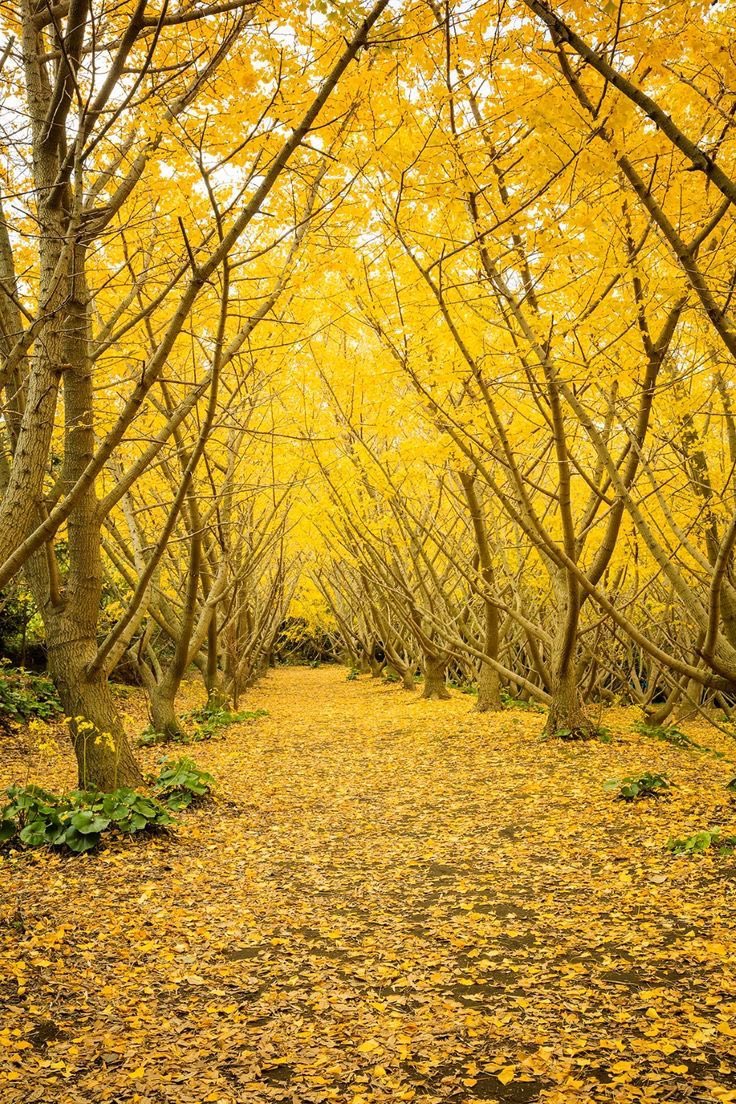 Yellow https://t.co/0NksS18eR4

@helena_mar19