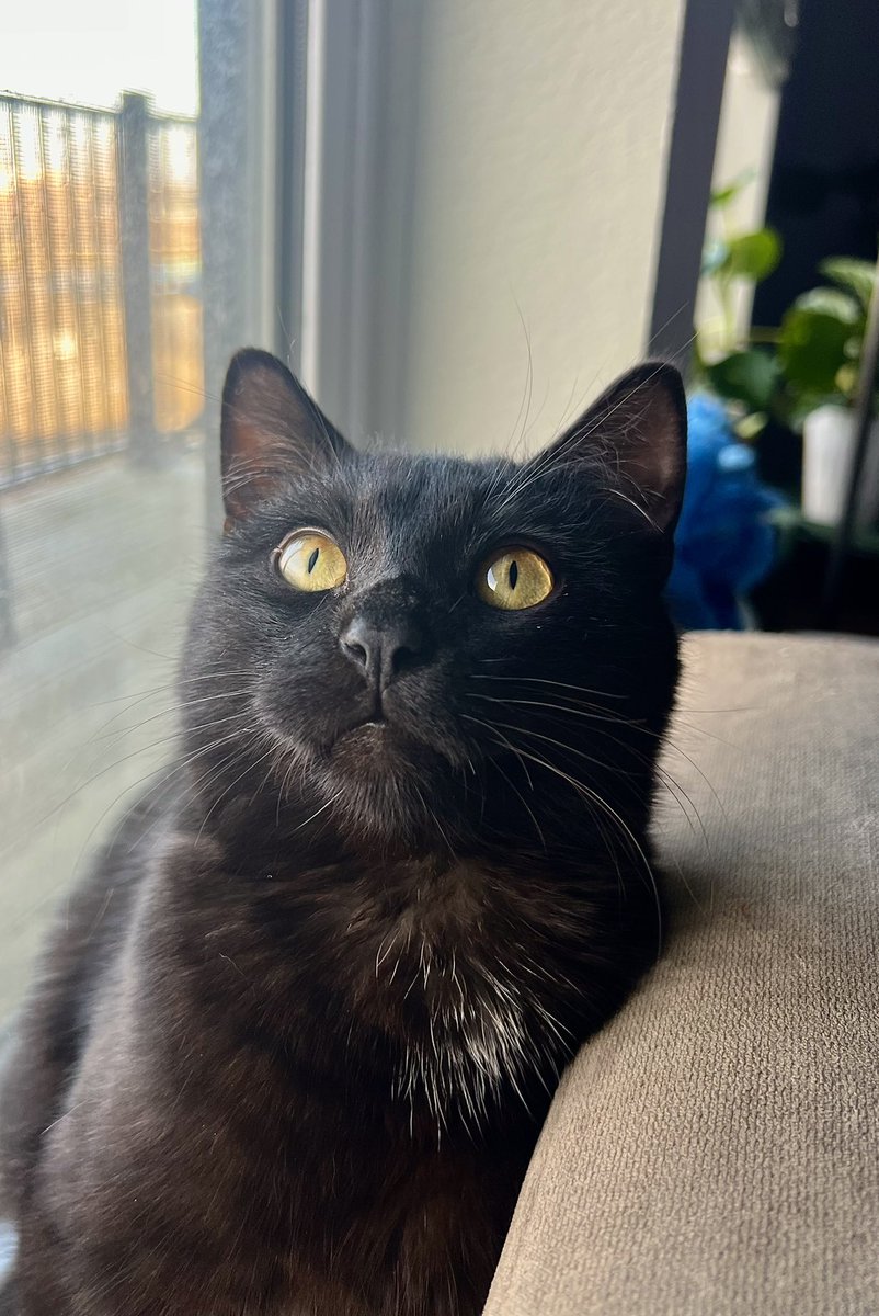 taz ❤️ https://t.co/Ndhe9wI3NU

@abbyy_giirl