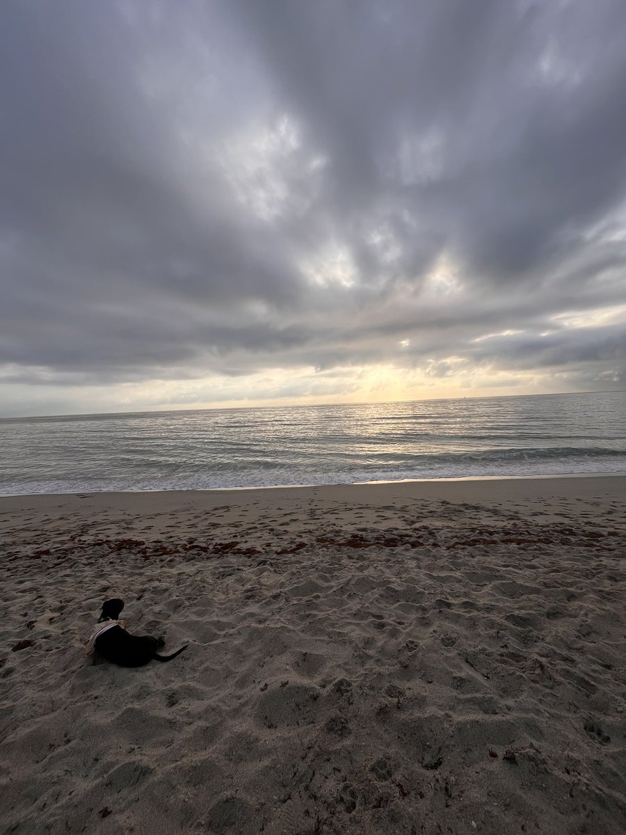 I woke up too late this morning so Phillip didn’t get to see his sunrise friends…. We will try again tomorrow! https://t.co/peoGEG5M19

@WPBF_BROOKE