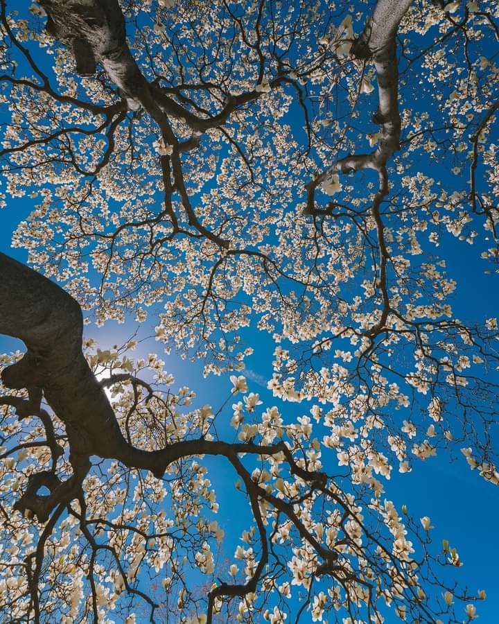 pretty https://t.co/iDPbKejGFP

@artindetails