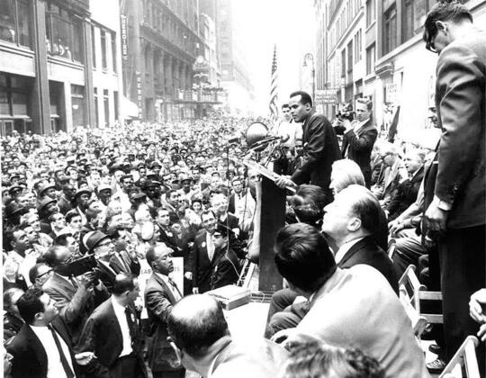 
  @harrybelafonte