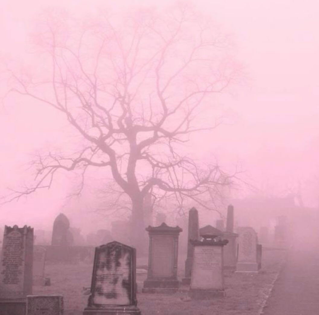 Happy Spooky Season - Emerson Isa style <3<br> @emersonisa