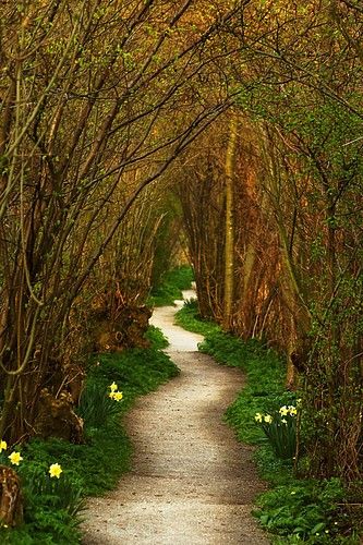 Beautiful images from Tumblr
(Yew Tree Tunnel, Netherlands) This reminds me of the fairy trails from fairy tails I read as a kid. I always thought that maybe secret trails would appear out of the brush to led a curious wanderer to a hidden world with magic. JD

http://feefeern.wordpress.com/2009/09/19/beautiful-images-from-tumblr/