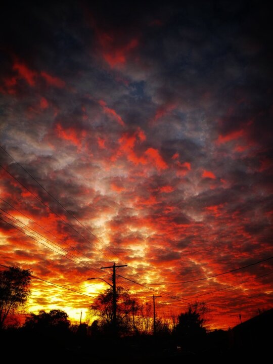 Dawn's dance

https://x.com/darrellnotdaryl/status/1989289444755878062