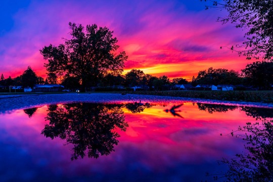 I looked out the window and saw the skies were lighting up like crazy. After agonizing over whether to try and get out to photograph them, I ran to the park just about 2 blocks away and fortunately saw a few puddles so sat the camera right at the edge of one and snapped this image and a few others but this was my fave! Hopefully you all enjoy this pic and remember to always look up, cheers my friends!
!Windsor!  https://www.facebook.com/photo/?fbid=10166604716329676&set=a.10151494285689676