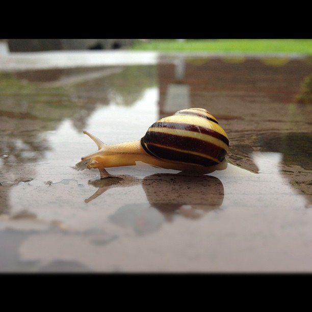 #natgeo photography at its finest