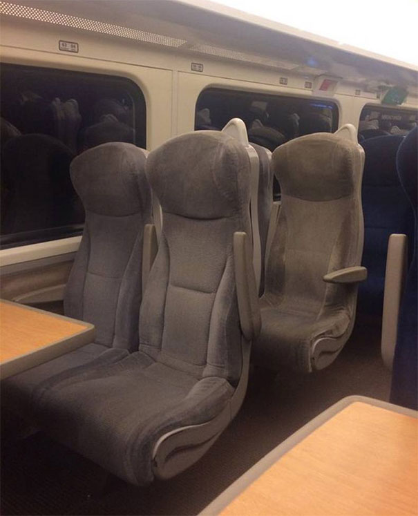 One Move And I'll Blow Your Damn Head Off   #perfectlyTimedPhotos