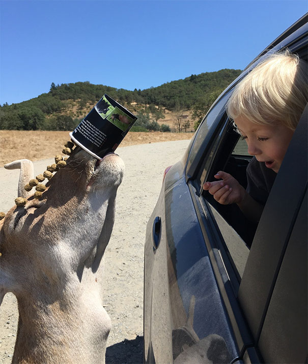 This One Got A Little Greedy   #perfectlyTimedPhotos