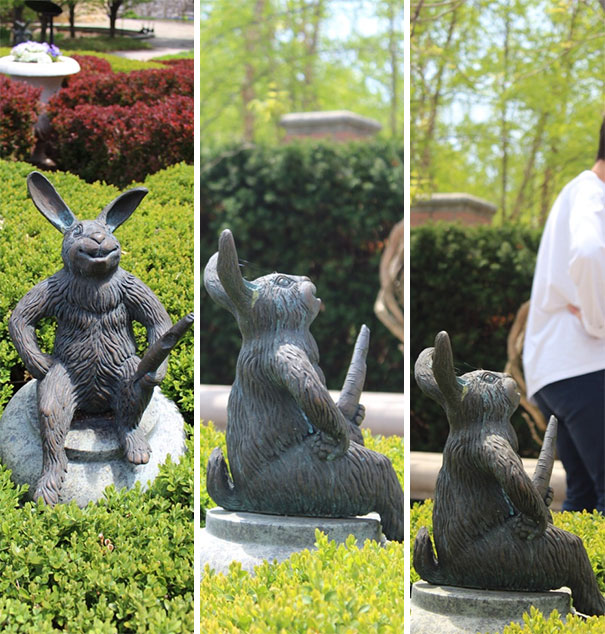 I Waited Patiently For Several Minutes For Just The Right Moment To Take The Third Photo... My Wife Wasn't Amused!   #perfectlyTimedPhotos