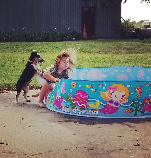 My Friend Caught The Exact Moment The Dog Ran Into Her Daughter And Pushed Her In The Pool   #perfectlyTimedPhotos