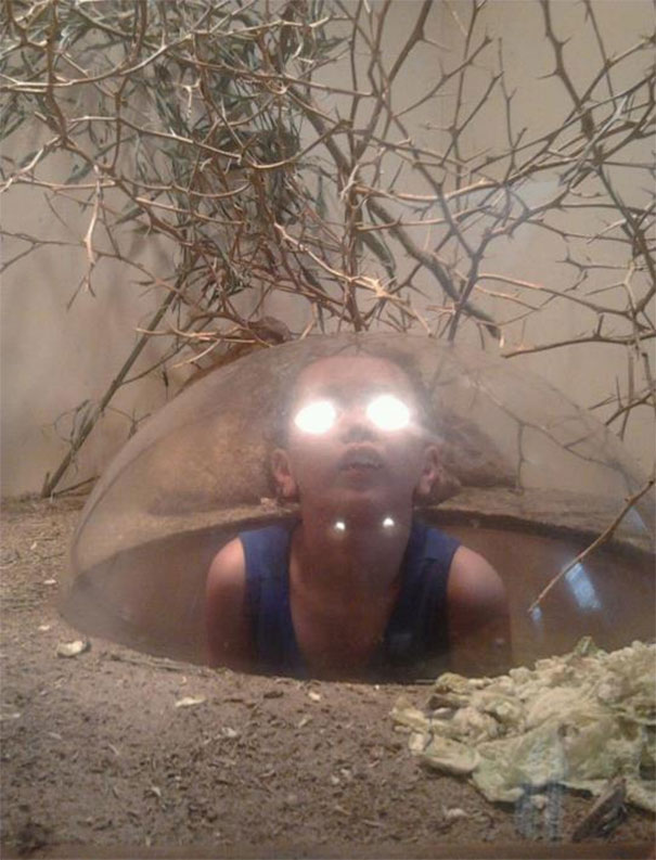 I Shot A Kid At The Zoo, Perfect Timing   #perfectlyTimedPhotos