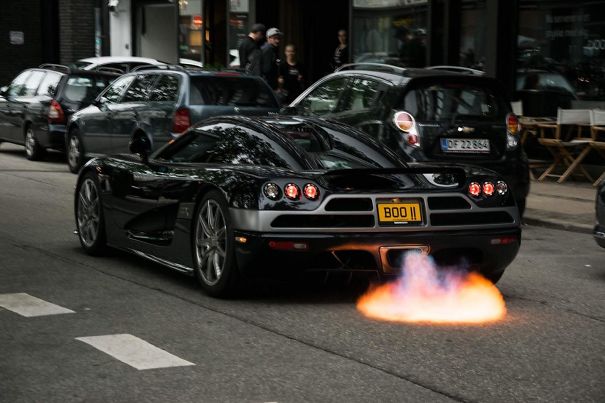 Perfect Timing   #perfectlyTimedPhotos