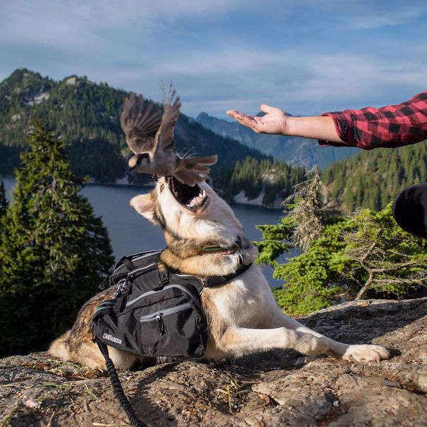 Oh So Majestic   #perfectlyTimedPhotos