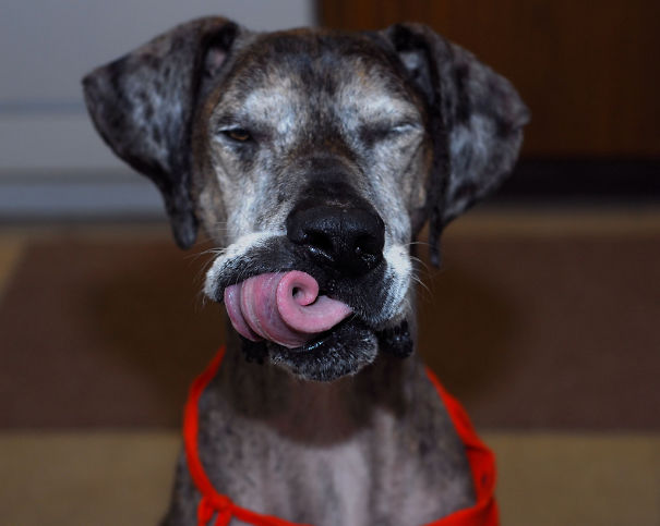 Can You Do That?   #perfectlyTimedPhotos