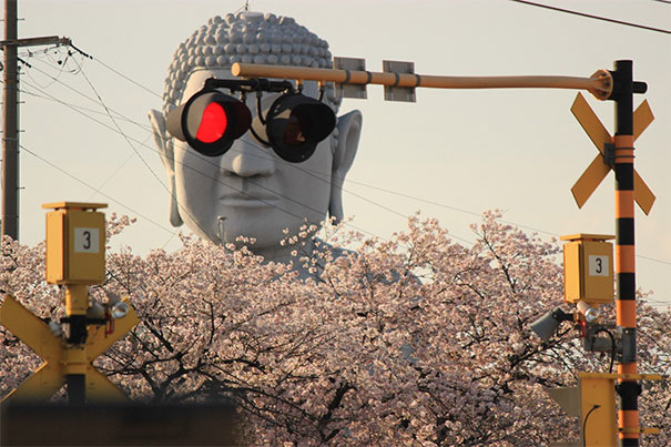 Buddha Sunglasses   #perfectlyTimedPhotos