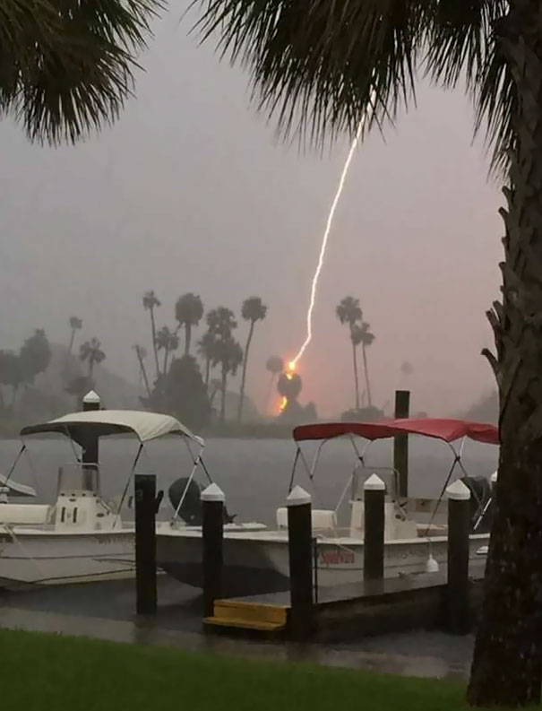 My Mom Accidentally Caught Lightning When Trying To Take A Picture Of Palm Trees During A Storm   #perfectlyTimedPhotos
