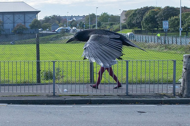 Perfectly Timed Picture   #perfectlyTimedPhotos