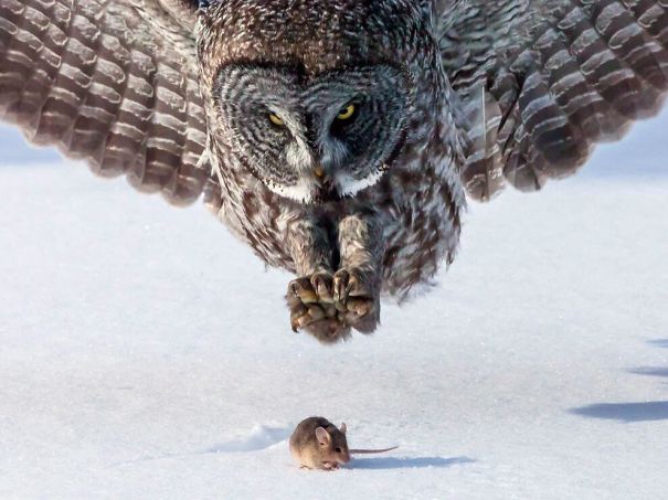 Perfectly Timed Shot #perfectlyTimedPhotos 