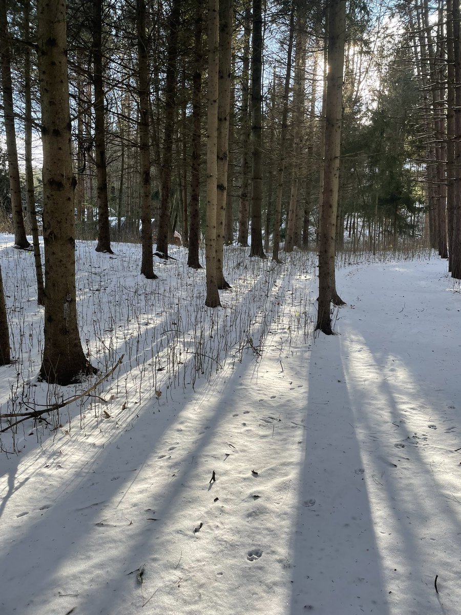 Looking forward to a happy healthy and bold 2022 year ahead!  #New Year  #manufacturing #Quantum https://t.co/L0CIX0XEYH

@IreneSterian